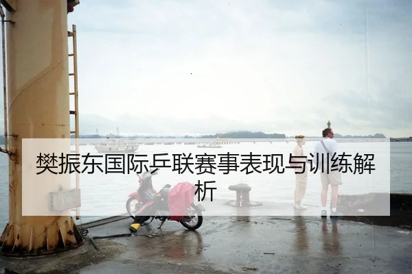 樊振东国际乒联赛事表现与训练解析